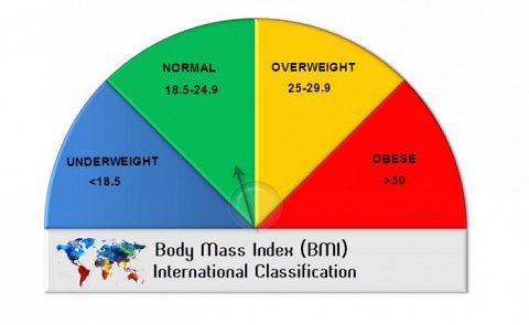 My predicted BMI according to my genetics.
