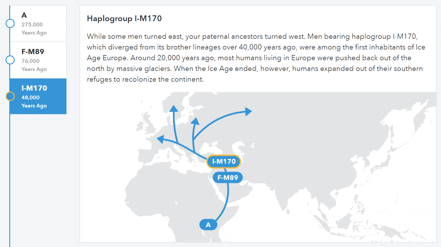 The 23andMe paternal haplogroup map