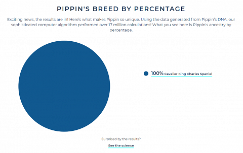My dog’s breed percentage results.