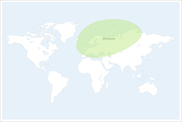 My ethnicity map.