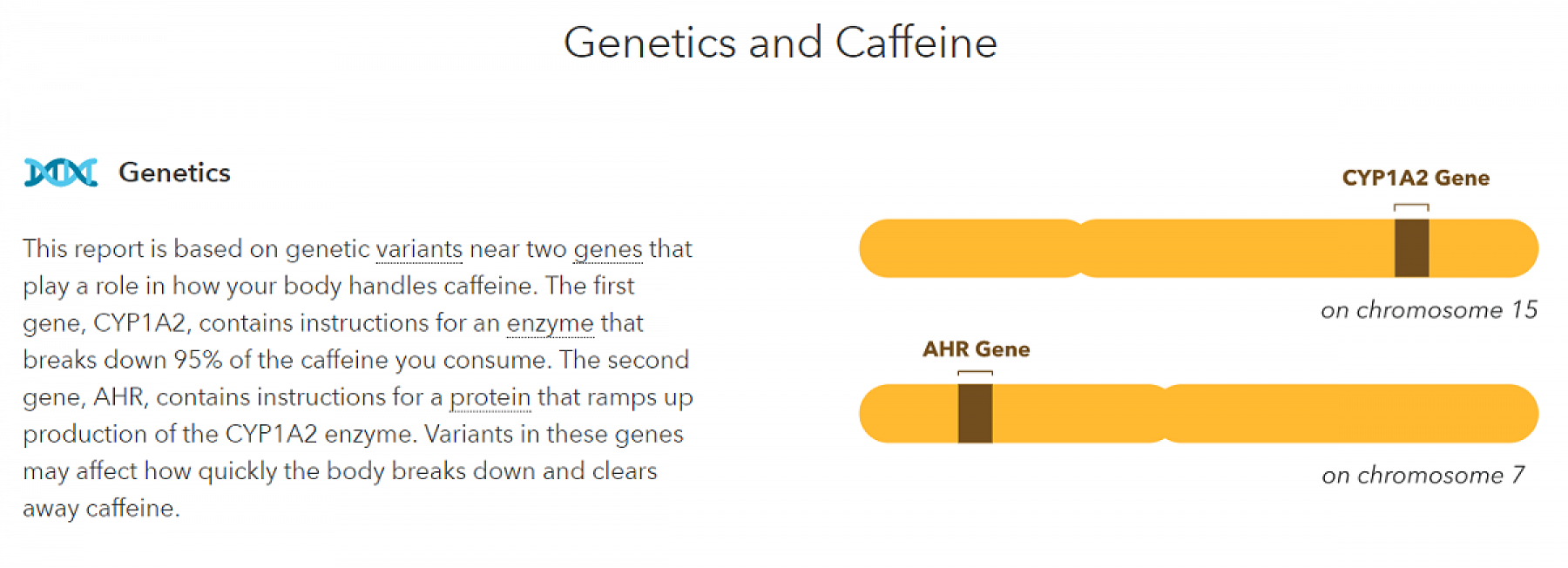 The scientific details about my Caffeine Consumption result.