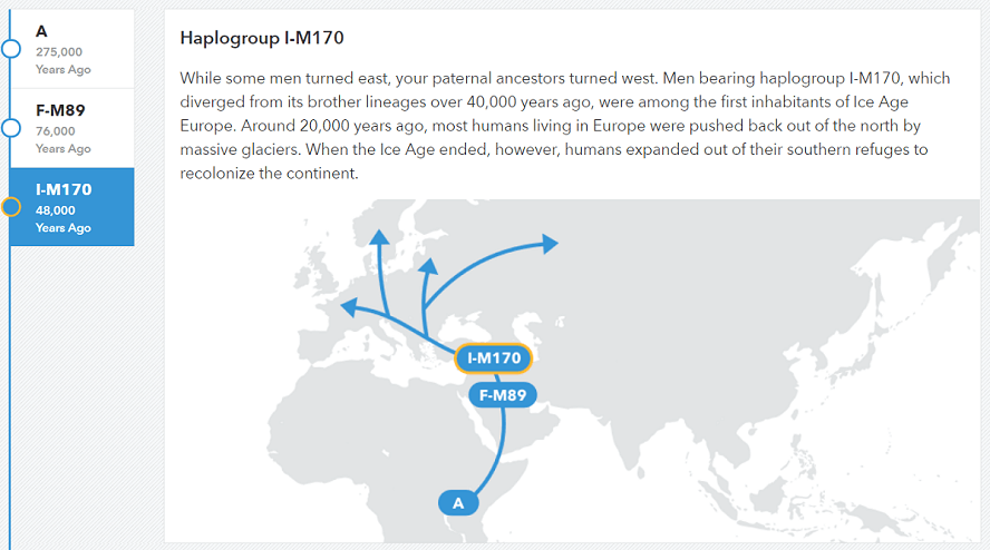 A 23andMe paternal haplogroup map