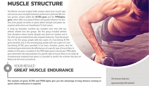 My result for “Muscle Structure”.