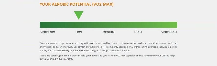 Can A Dna Test Predict My Vo2 Max Dna Testing Choice