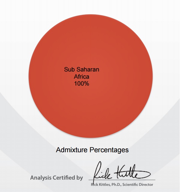 Pie chart showing my Admixture Percentages.
