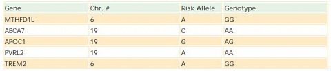 A chart showing the genes associated with Alzheimer’s, the risk alleles, and my genotype.