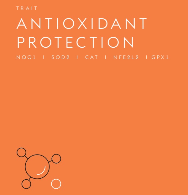 The top of my Antioxidant Protection title page.