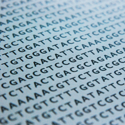 What to do with your raw DNA data?