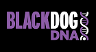 Black Dog DNA