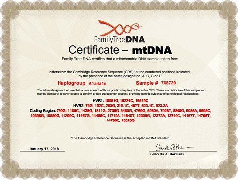 My mtDNA Certificate.