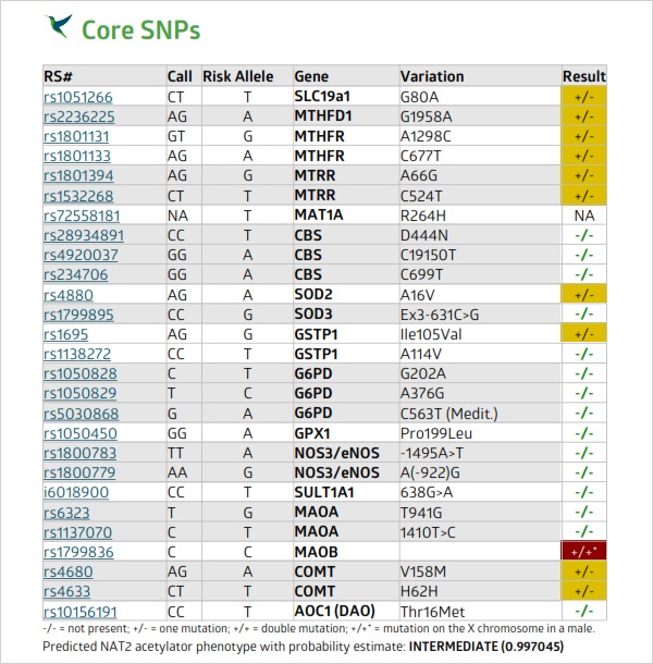 The overview of results for my core SNPs.