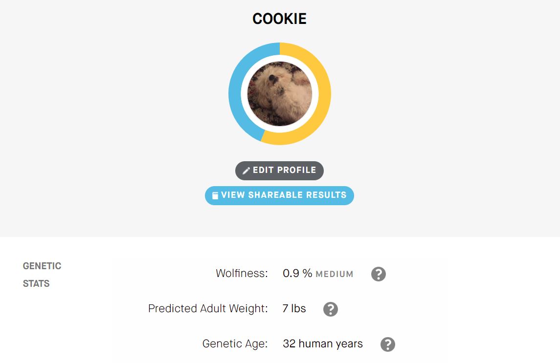 Cookie’s results dashboard.