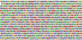 DNA Sequence