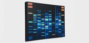 DNA Portrait Kit