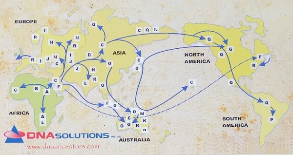 The migratory paths of all paternal haplogroups.