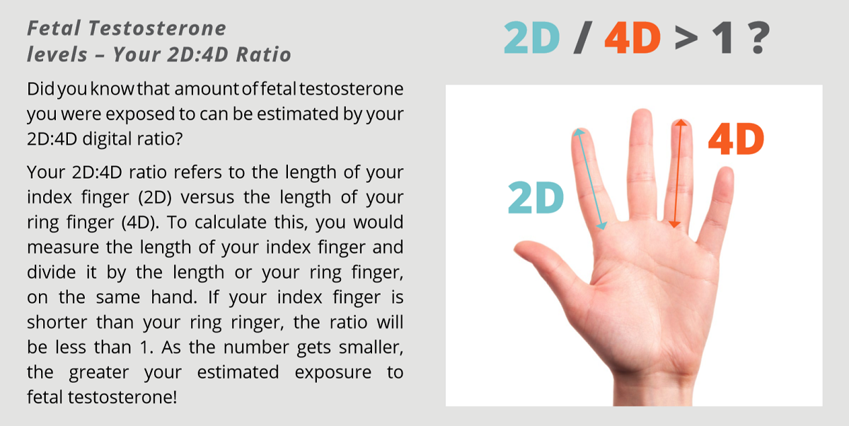 How foetal testosterone levels can be told through finger ratios.