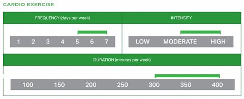 Diagram showing my exercise recommendations.