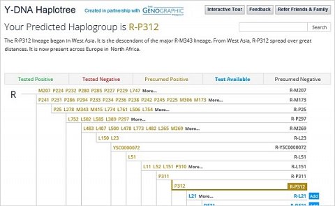 The location of my predicted haplogroup on the Y-DNA haplotree.