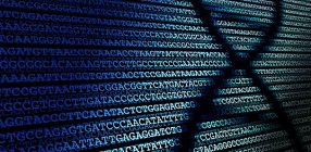 Whole Genome: Advanced Variant Analysis