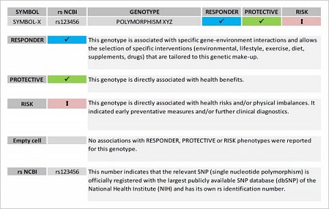 A guide to interpreting the summary table for each gene.