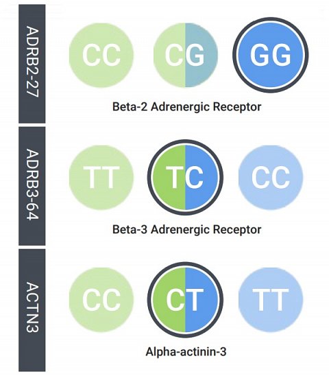 Three of my Fitness and Exercise genetic results.