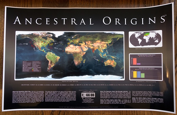 The Ancestral Origins™ chart.