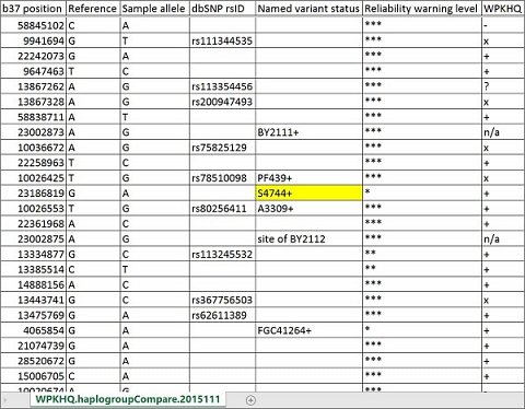 My S4744+ paternal haplogroup designation in the haplogroupCompare report.
