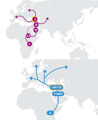 23andMe haplogroup maps