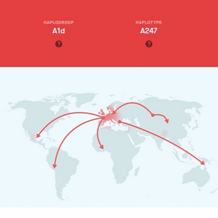 Haplogroups