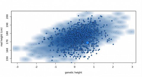 My genetic height estimate.