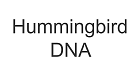 Hummingbird DNA