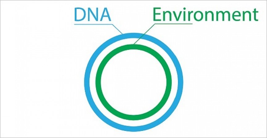An explanation of the circular trait diagrams.