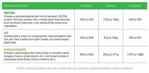 The Food table showing the recommended amounts of each macronutrient.