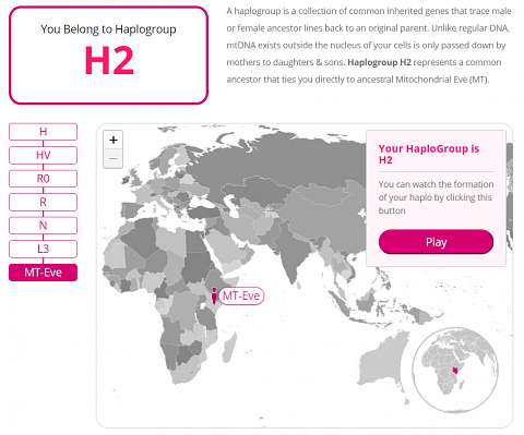 The interactive maternal haplogroup map.
