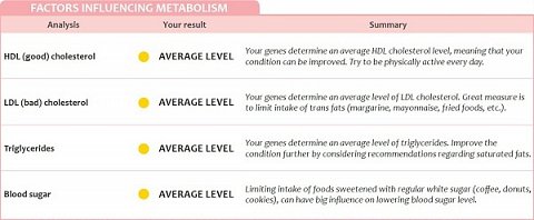 Factors influencing my metabolism.