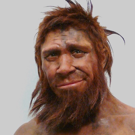How much Neanderthal DNA is in modern humans?
