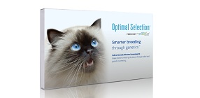 Optimal Selection Feline Genetic Breeding Analysis