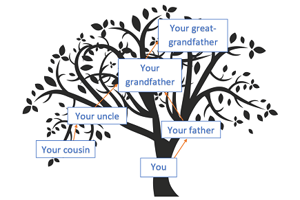 Your paternal family tree
