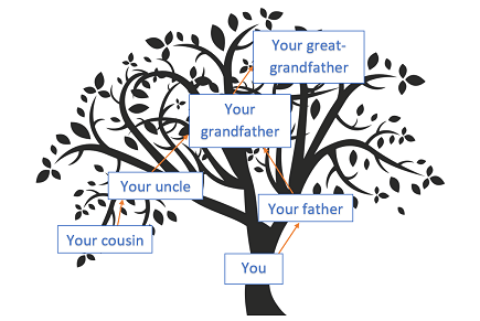 Do women share more than 25% DNA with a paternal grandmother