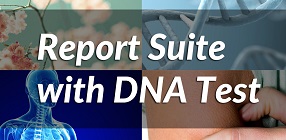 5 Report Suite
