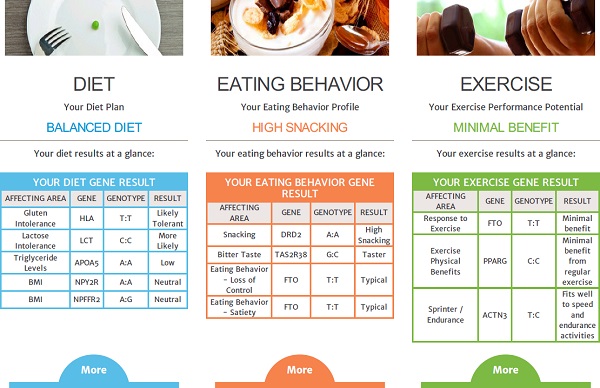 My Diet, Eating Behaviour and Exercise summaries.