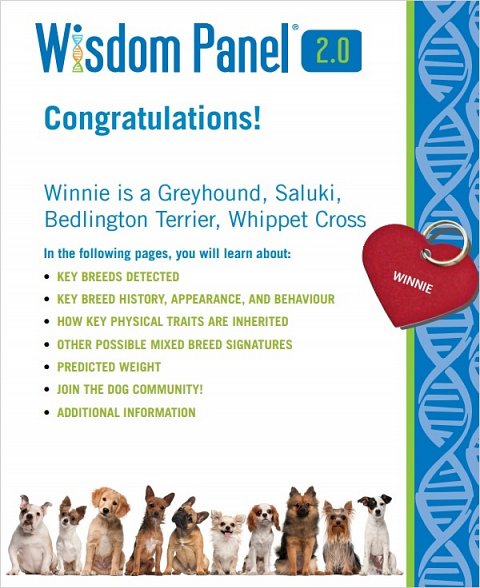 The front page of the report, which provided Winnie’s breed mix.