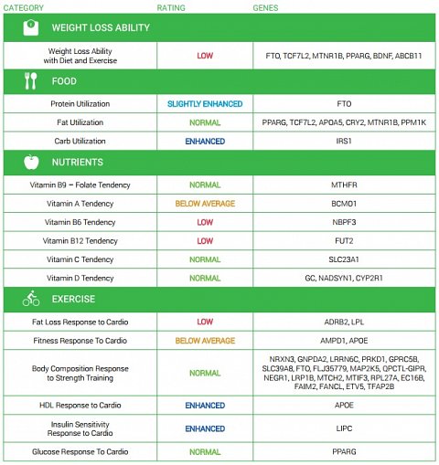 My Report Summary.