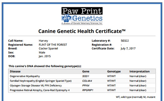 Part of Harvey’s Genetic Health Certificate.