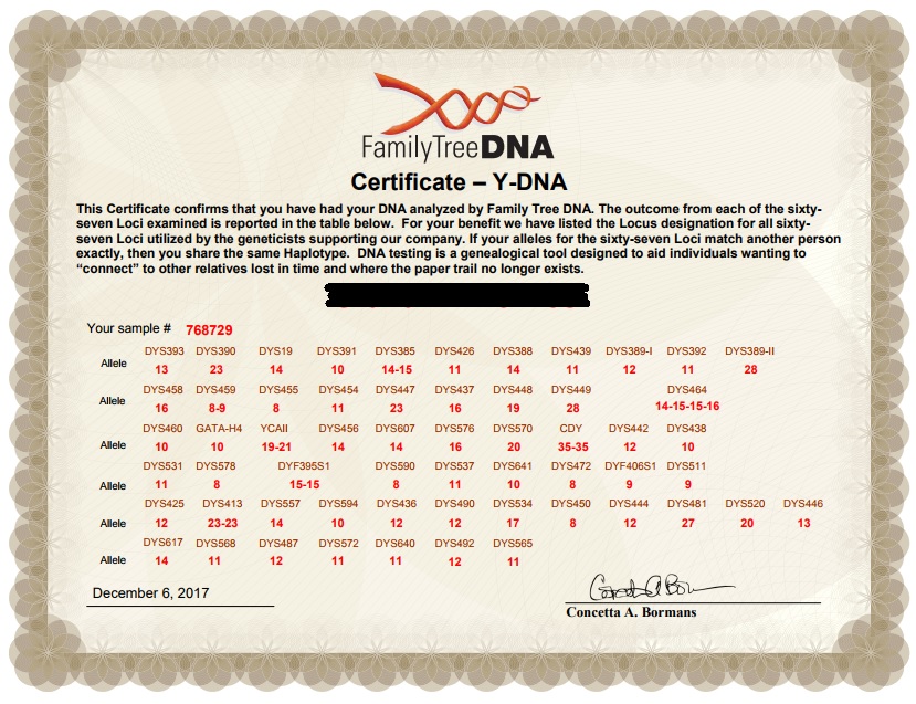 My Y-DNA STR certificate.